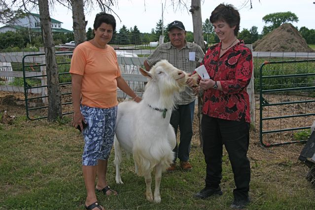 Marta Suarez Ramirez, Juan Sanchez Martell and Barb Wicks with prize billy goat, Grass Hill Farm.